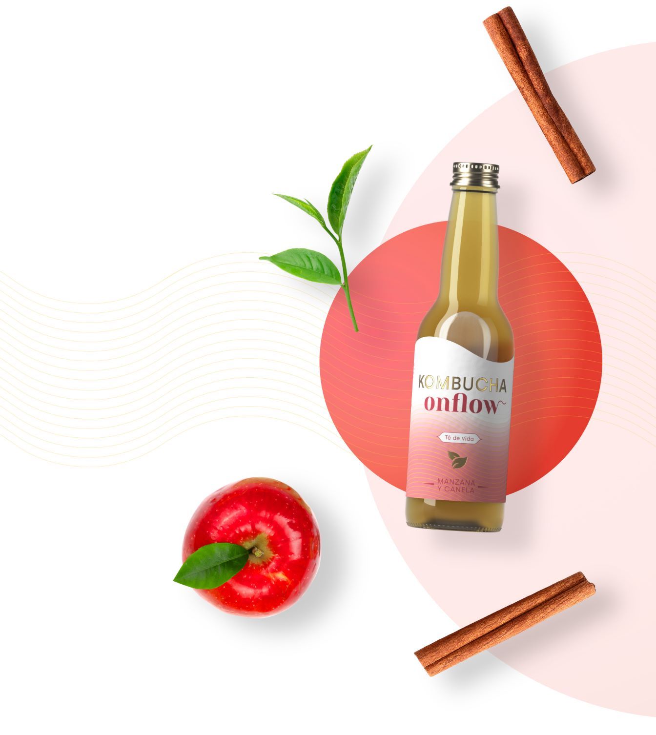 ONFLOW KOMBUCHA DE MANZANA Y CANELA (1L/33cl.) - Imagen 2