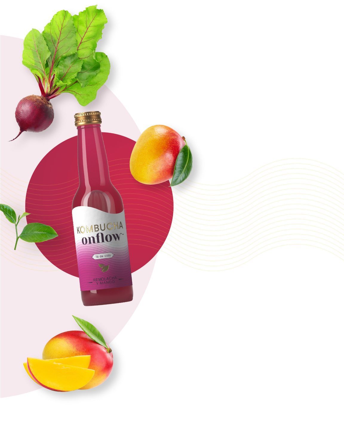 ONFLOW KOMBUCHA DE REMOLACHA Y MANGO (1L/33cl.) - Imagen 2