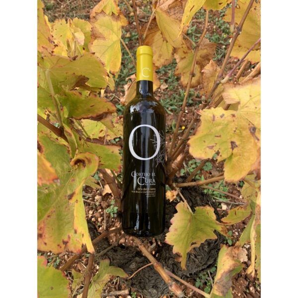 Alternative view of VINO BLANCO JOVEN BIO ORO DEL LLANO 75cl.