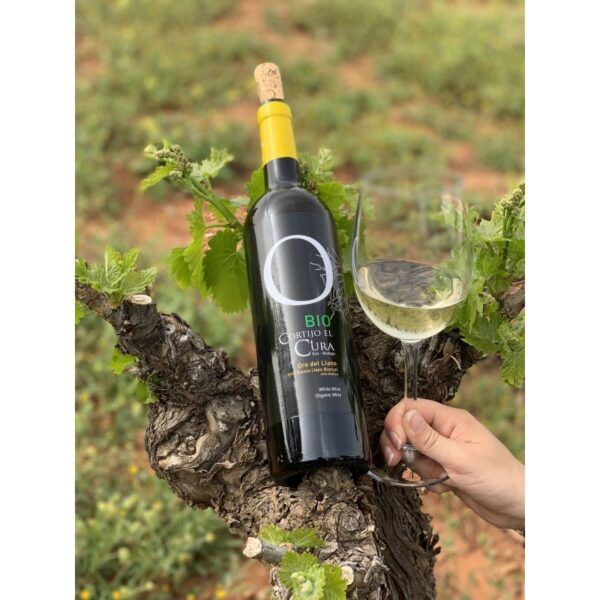 VINO BLANCO JOVEN BIO ORO DEL LLANO 75cl.