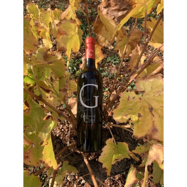 Alternative view of VINO TINTO JOVEN BIO SIERRA DE GÁDOR 75cl.