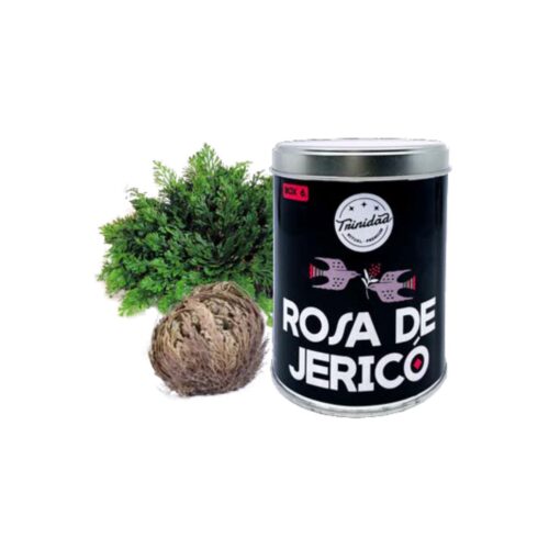 TRINIDAD BOX6 ROSA DE JERICÓ EN LATA (1und.)