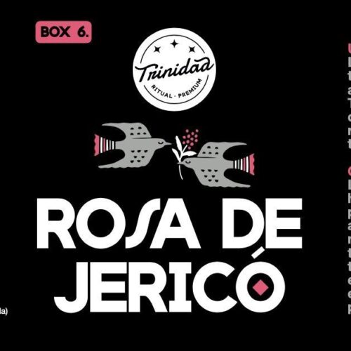 TRINIDAD BOX6 ROSA DE JERICÓ EN LATA (1und.) - Imagen 2