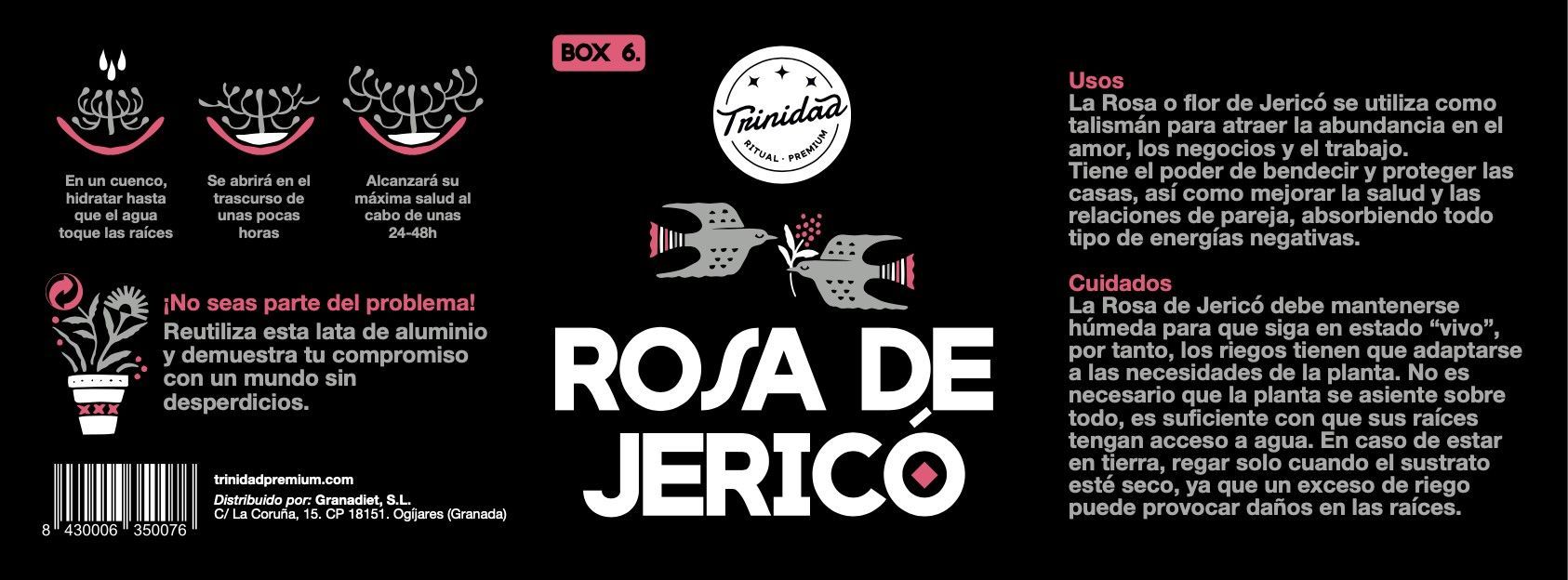 TRINIDAD BOX6 ROSA DE JERICÓ EN LATA (1und.) - Imagen 2