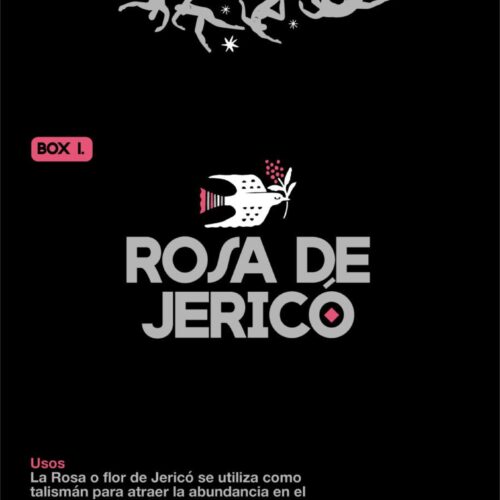 TRINIDAD BOX1 ROSA JERICÓ (1und.) - Imagen 2