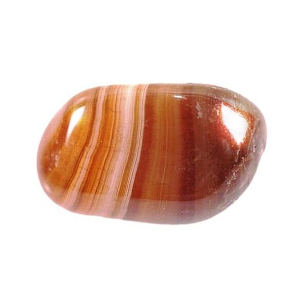 Alternative view of TRINIDAD CARNEOLA (20Uds.)