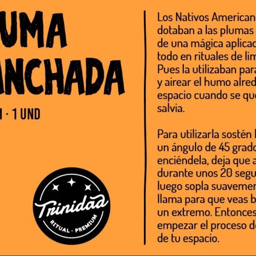 TRINIDAD PLUMA MANCHADA 25-30cm. (1ud.) - Imagen 2