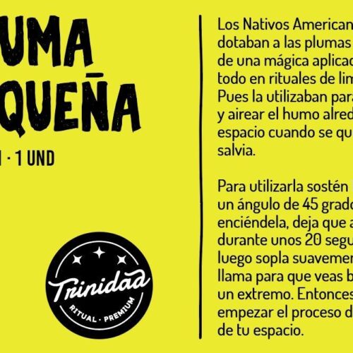 TRINIDAD PLUMA PEQUEÑA PUNTOS 20-25cm. (1ud.) - Imagen 2