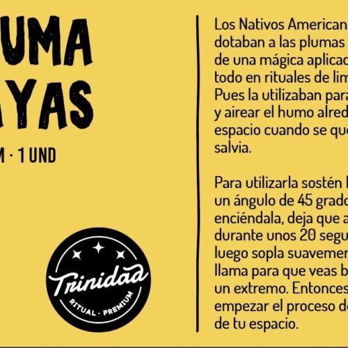 TRINIDAD PLUMA RAYAS 20-25cm. (1ud.) - Imagen 2