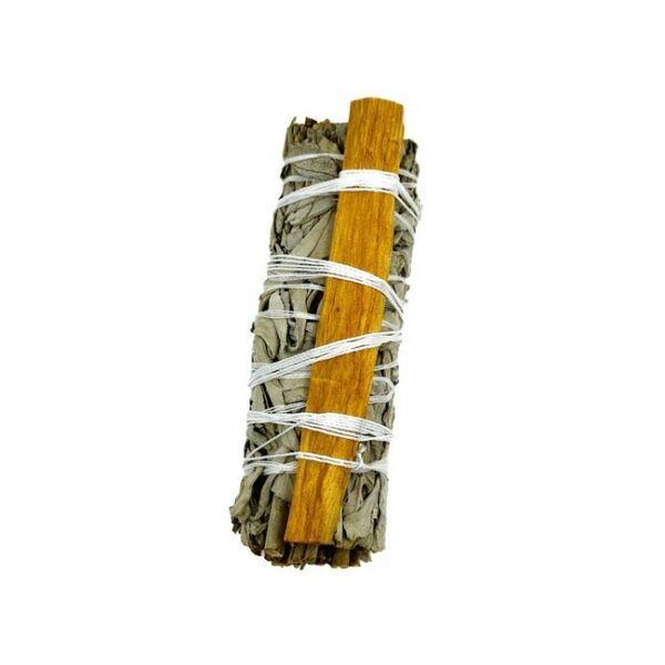 TRINIDAD SALVIA CALIFORNIA + PALO SANTO 20-30gr./10cm. - Imagen 2