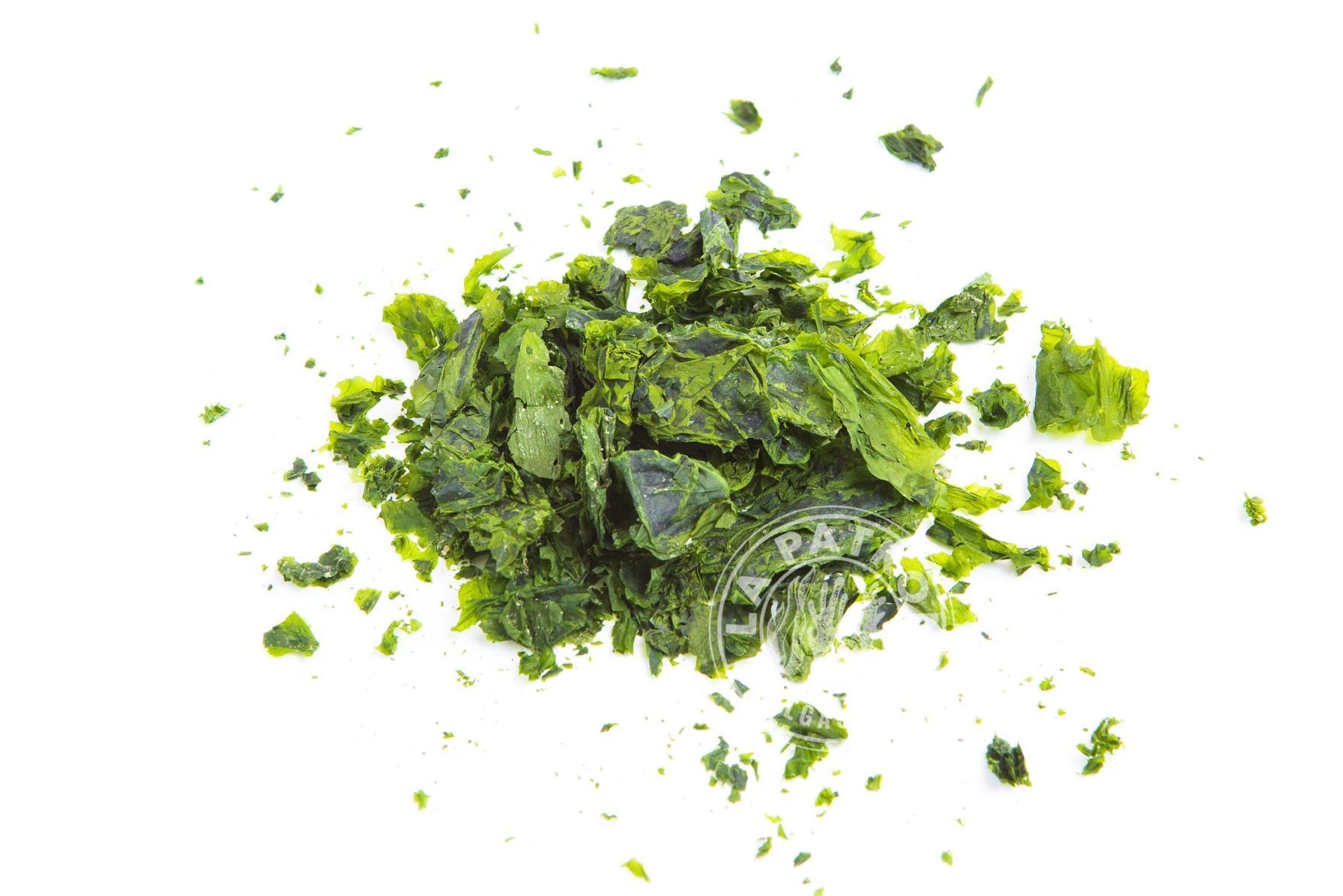 Lechuga de mar eco Deshidratada 1Kg. (Ulva sp.) - Imagen 2