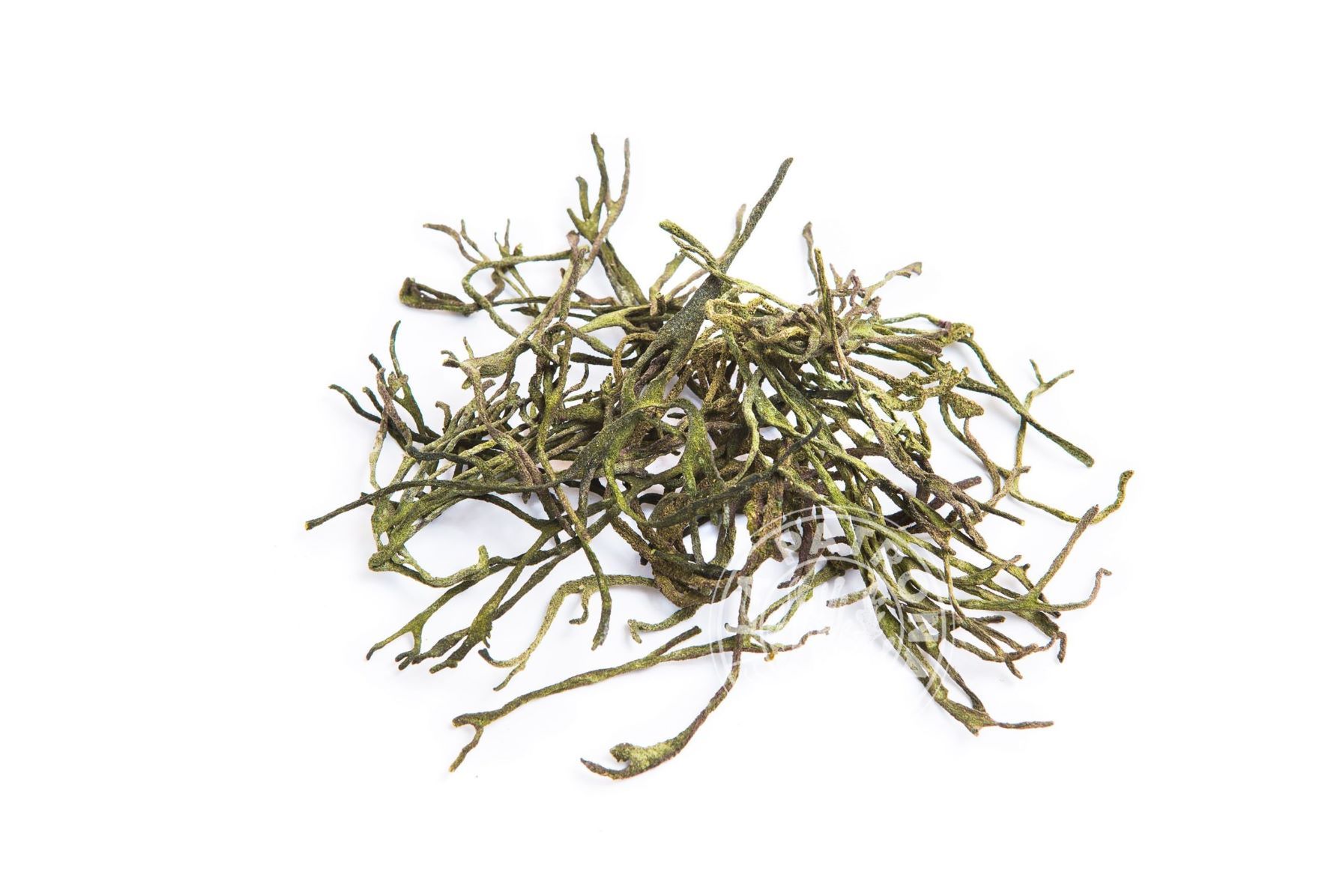 Alga Percebe Eco Deshidratada 40gr. (Codium tomentosum) - Imagen 2
