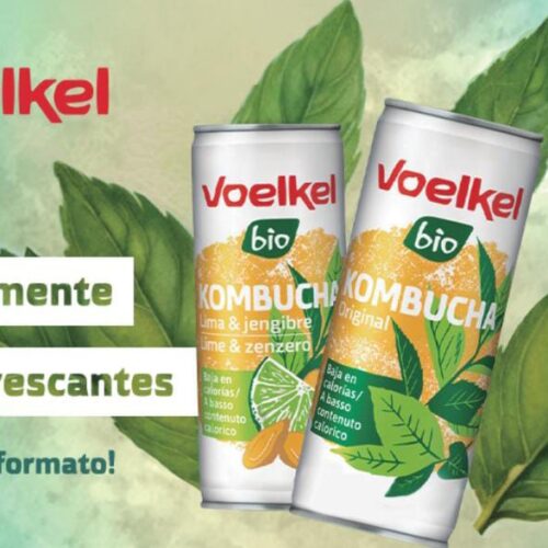 Kombucha Lima y Jengibre BIO lata 250ml. - Imagen 4