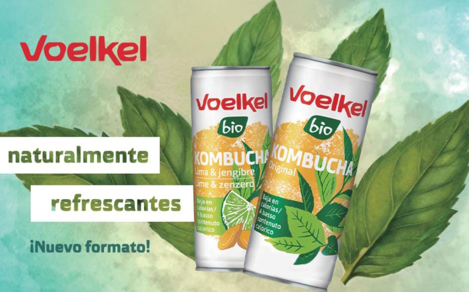 Kombucha Lima y Jengibre BIO lata 250ml. - Imagen 4