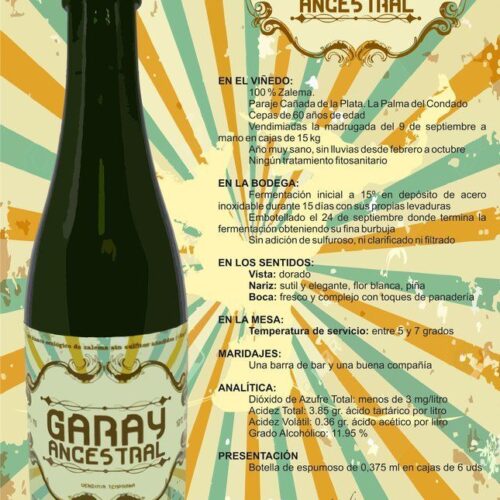 Garay Ancestral 2021 - Blanco (375ml) - Imagen 2