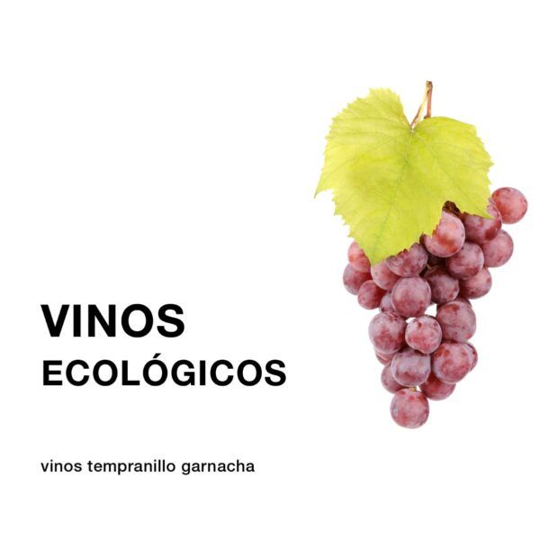 Garnacha Theresa Organic Tinto 0,0 (75cl) - Imagen 3