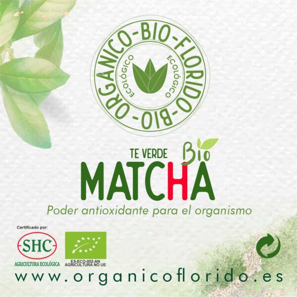 TÉ MATCHA PREMIUM BIO ORGÁNICOFLORIDO 500gr.