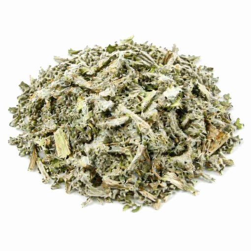 ALCACHOFERA PLANTA CORTADA 1Kg.