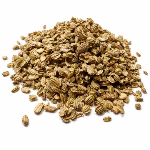 ANGÉLICA SEMILLA 1Kg.