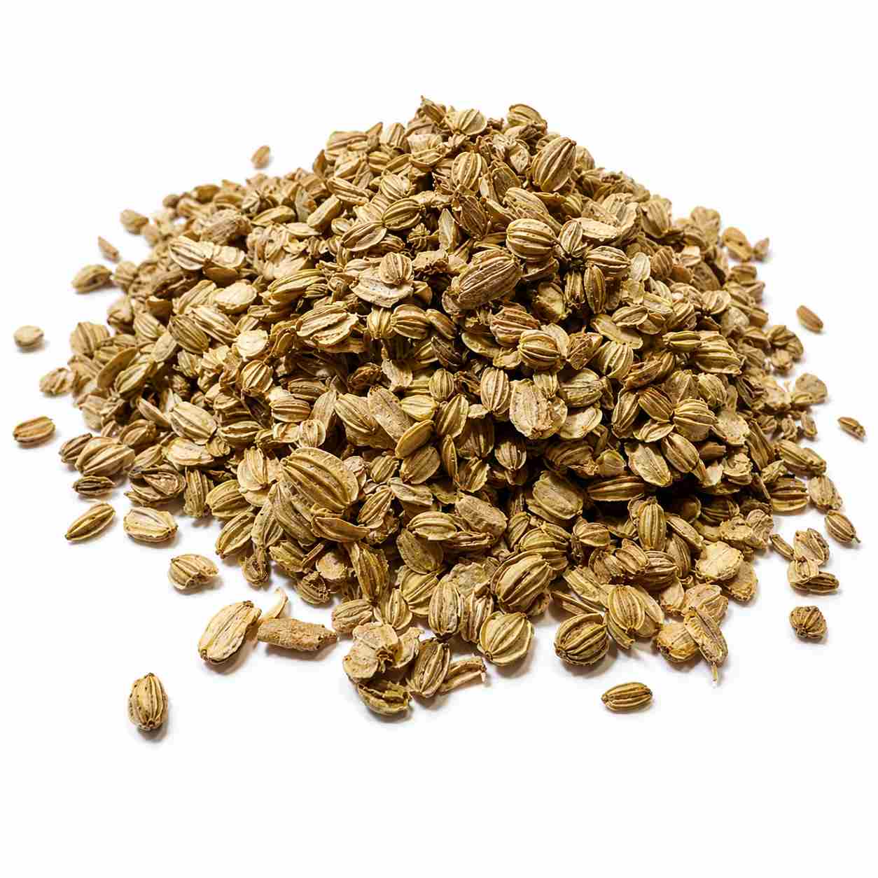 ANGÉLICA SEMILLA 1Kg.