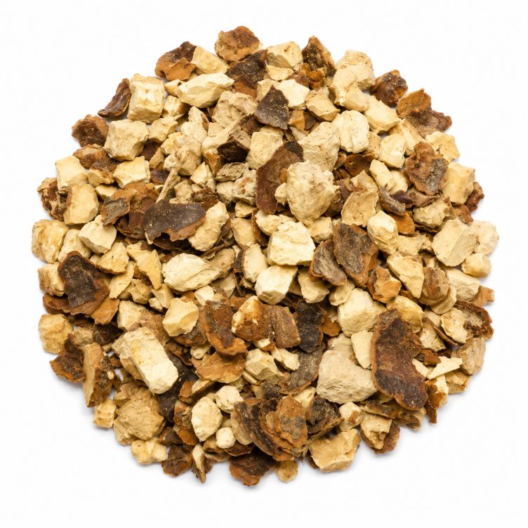 castano-indias-mayorista-organicoflorido