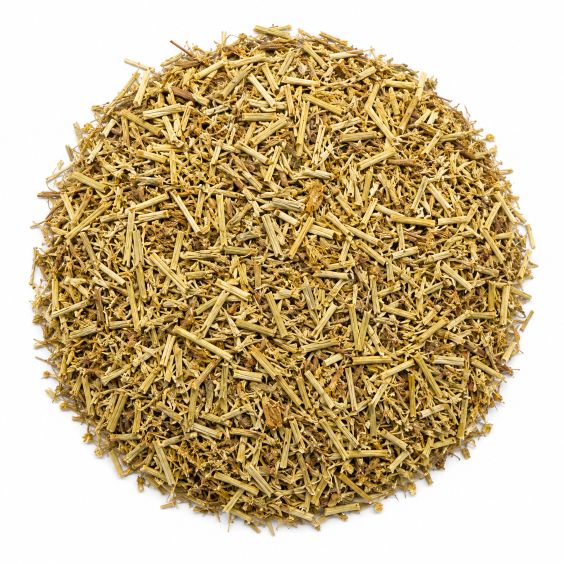 centaurea-mayorista-organicoflorido