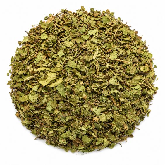 centella-asiatica-mayorista-organicoflorido