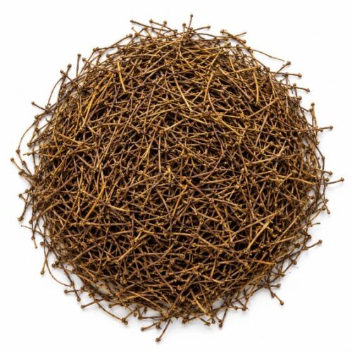 cereza-rabo-mayorista-organicoflorido