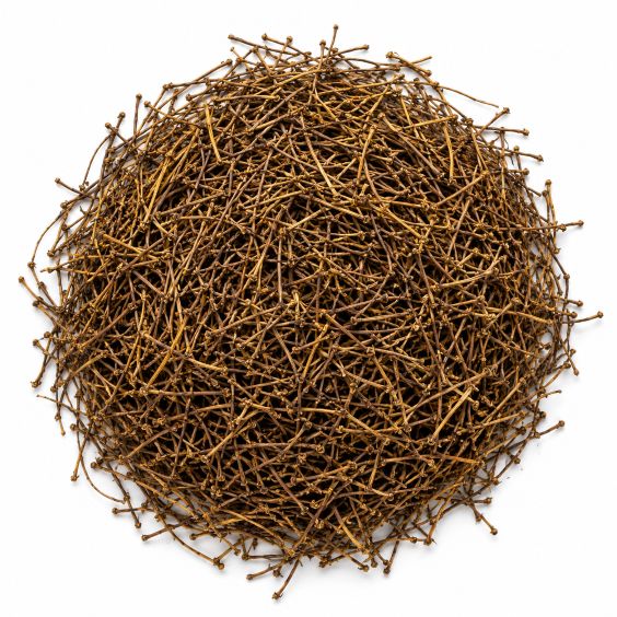 cereza-rabo-mayorista-organicoflorido