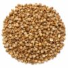 cilantro-semilla-mayorista-organicoflorido
