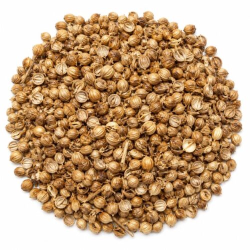 cilantro-semilla-mayorista-organicoflorido