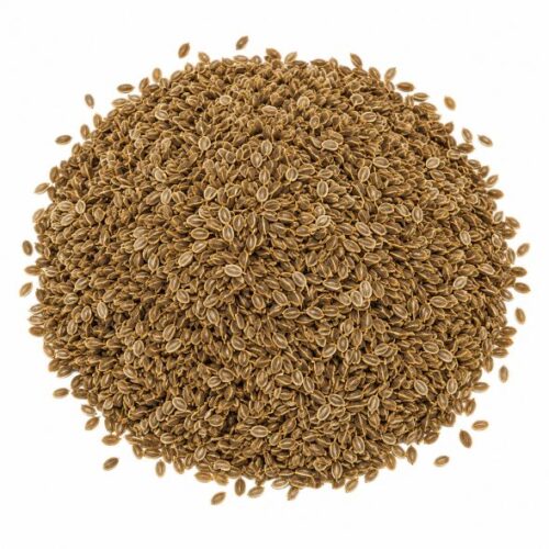 ENELDO SEMILLA 1Kg.