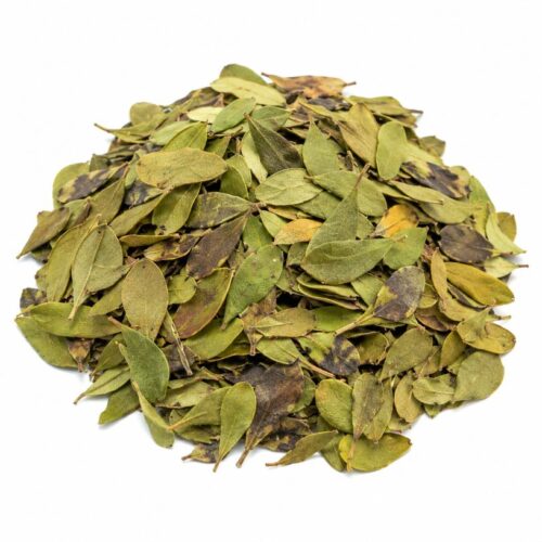 GAYUBA (UVA URSI) HOJA CORTADA 1Kg.