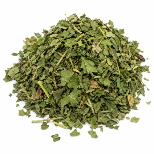 GROSELLERO NEGRO PLANTA CORTADA 1Kg.