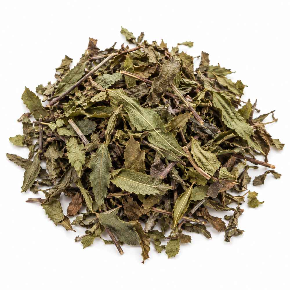 ortosifón hoja cortada té Java 1 kg, planta seca. Orgánicoflorido