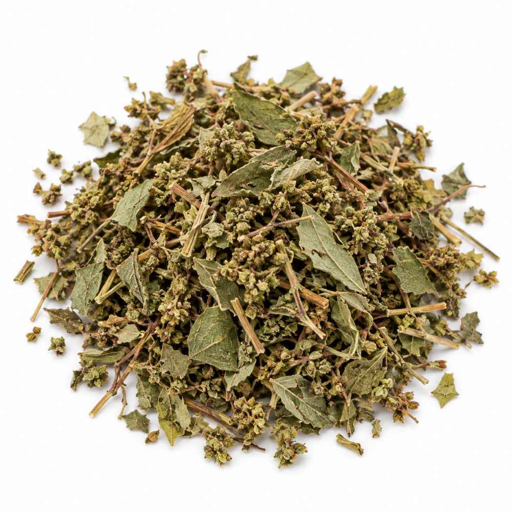 parietaria planta cortada 1 kg, planta seca. Orgánicoflorido