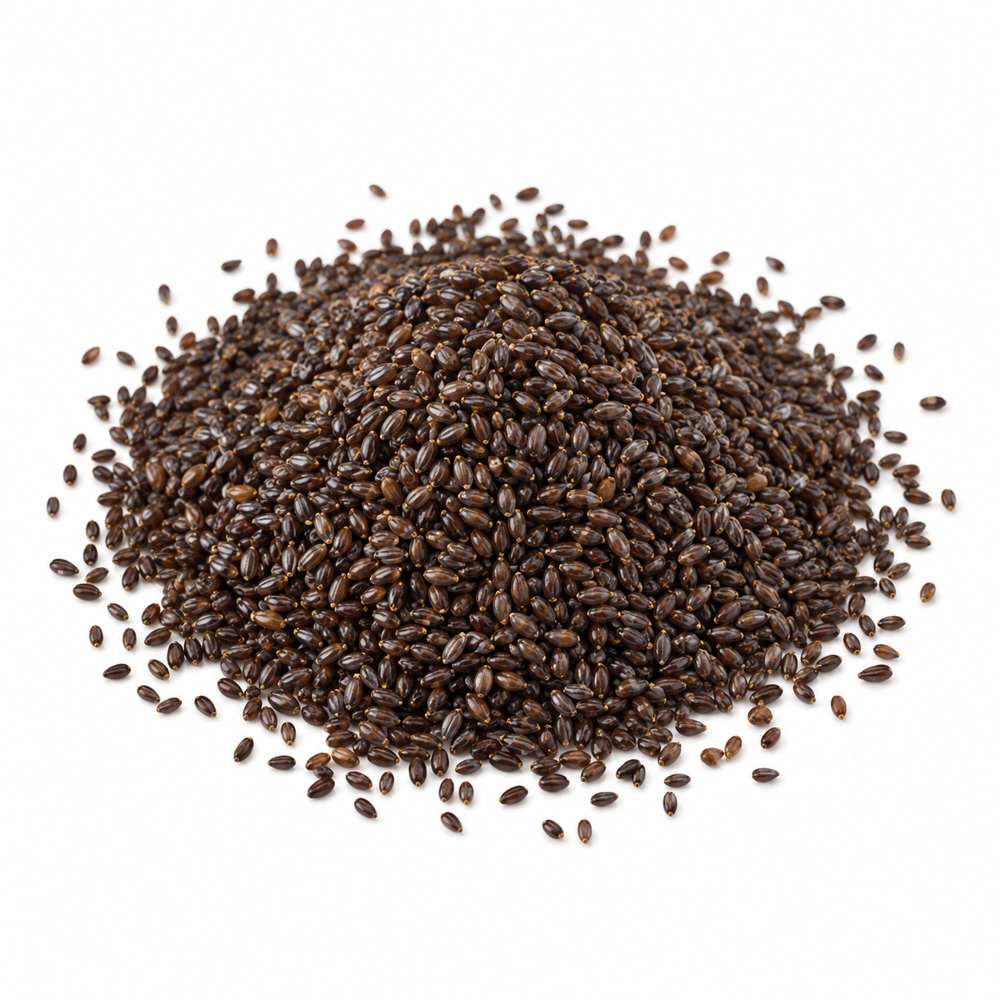 zaragatona negra semilla 1 kg, planta seca. Orgánicoflorido