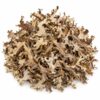 Liquen Islandia cortado 1 kg seco sobre fondo blanco