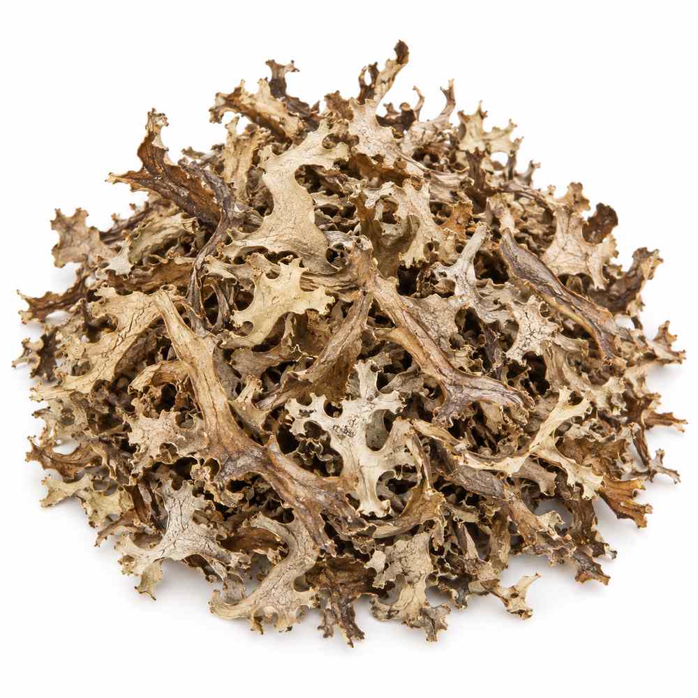 Liquen Islandia cortado 1 kg seco sobre fondo blanco